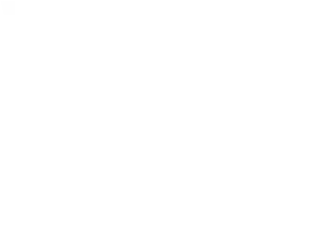 Wool and the Gang
